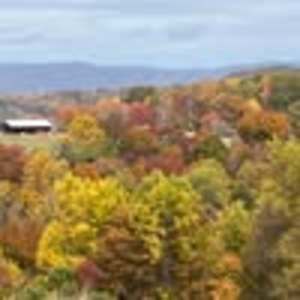 Meet your Posher, Regina mink